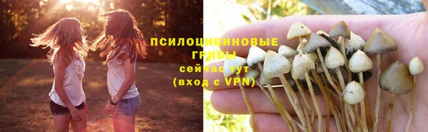 метамфетамин Гусь-Хрустальный