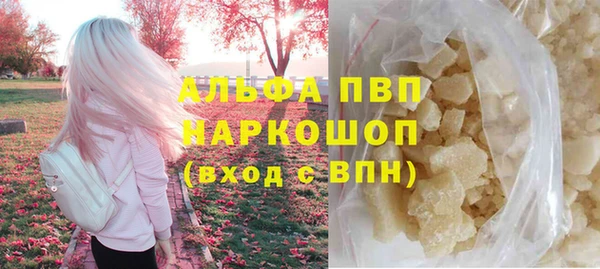 сатива Вяземский