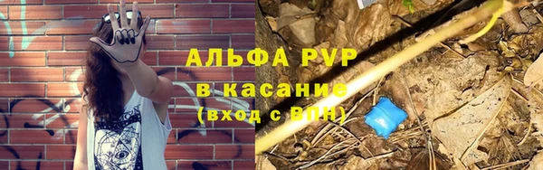 амф Вязьма