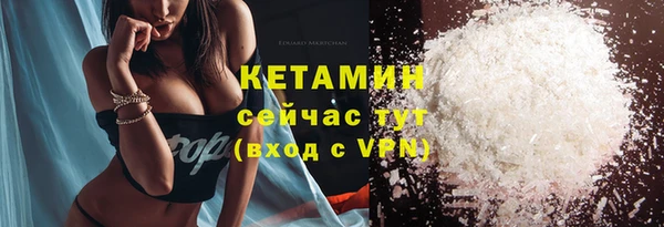 сатива Вяземский