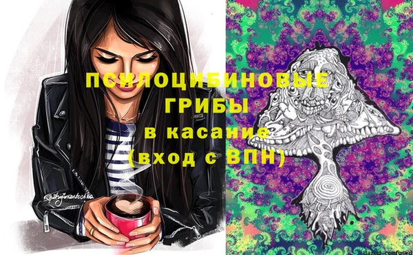 дурь Гусев